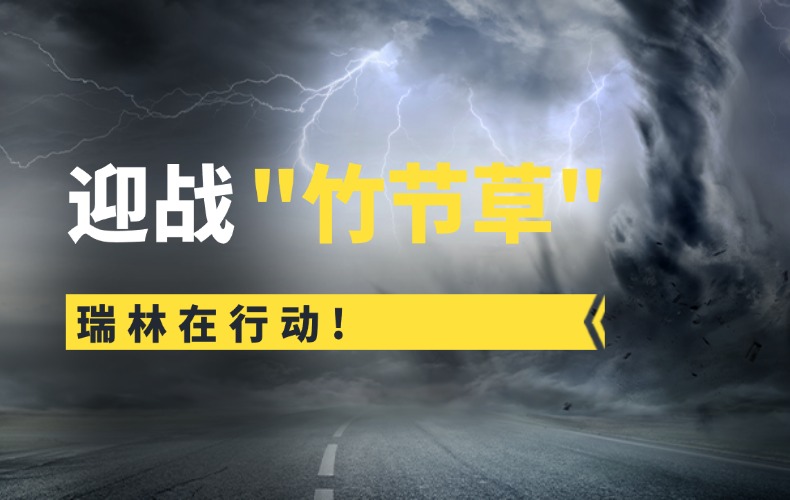 竹节草过境，贝斯特人未停！从应急响应到深度复盘的全链守护